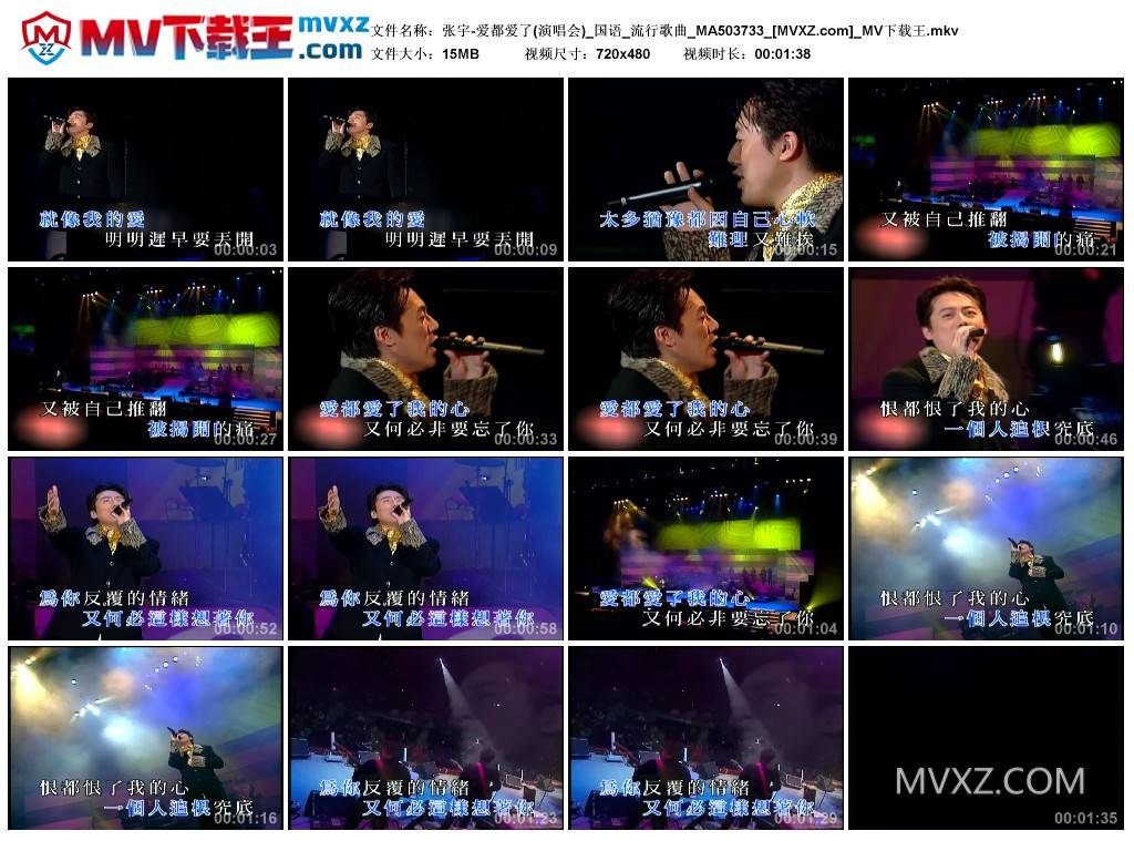 张宇-爱都爱了(演唱会)_国语_流行歌曲_MA503733